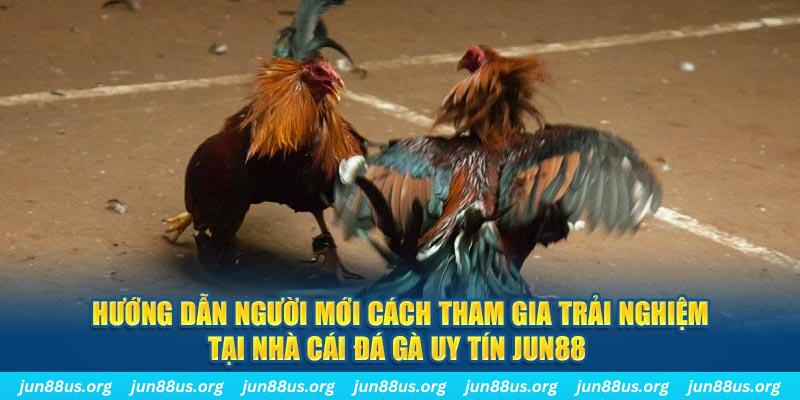 xo88 club CQ9 Điện Tử