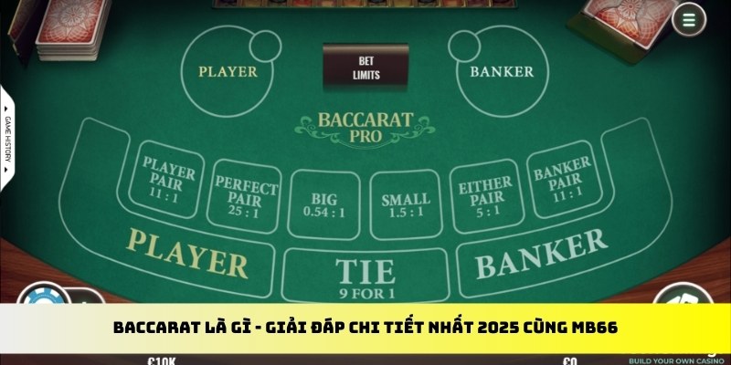 xo88 club gà chọi cu cần
