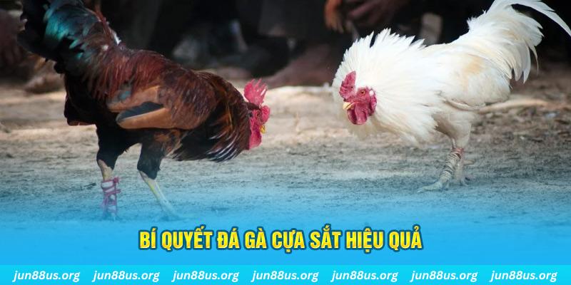 xo88 club xin 1 slot là gì