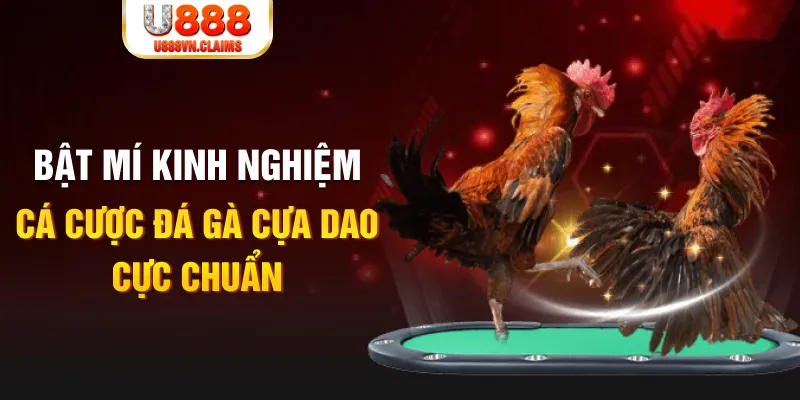 xo88 club tỷ lệ cá cược châu á là gì