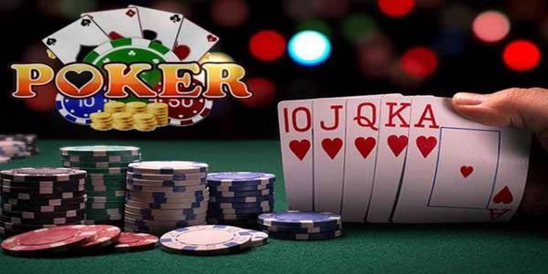 xo88 club đá gà thomo trực tiếp
