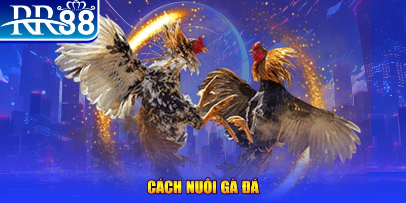 xo88 club xổ số an giang