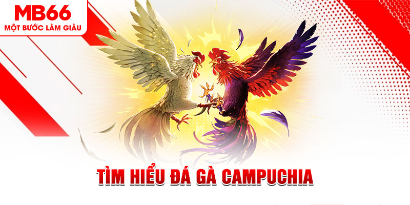 xo88 club đá gà trực tiếp