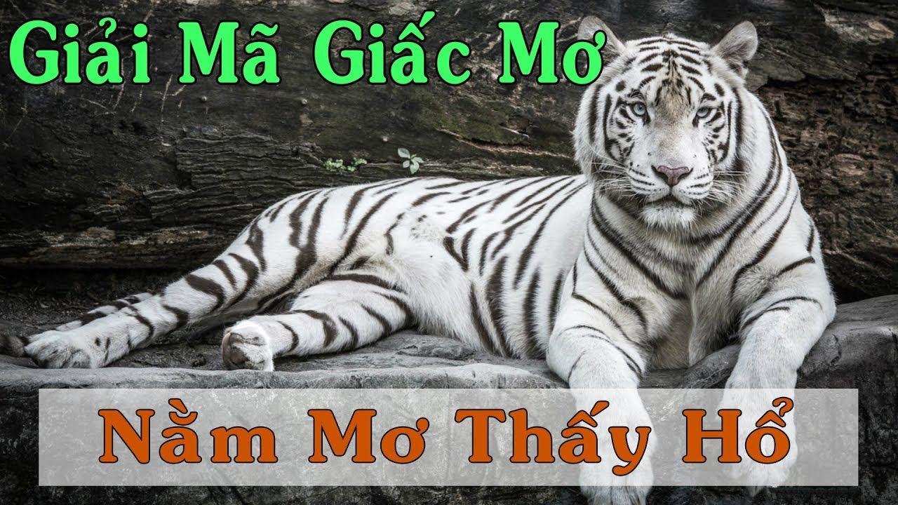 xo88 club xổ số 3 miền