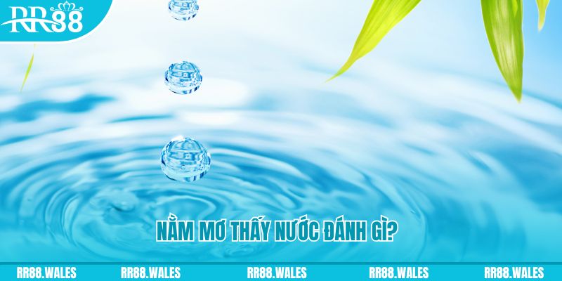 xo88 club TP Bắn cá