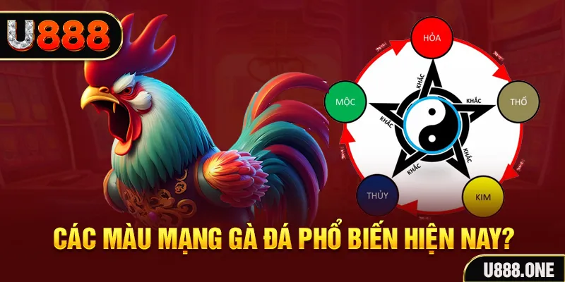xo88 club trực tiếp đá gà 88
