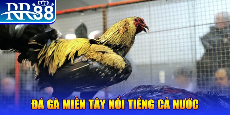 xo88 club JILI Game Bài 3d