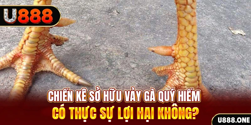 xo88 club nohu .mx nổ hủ là gì