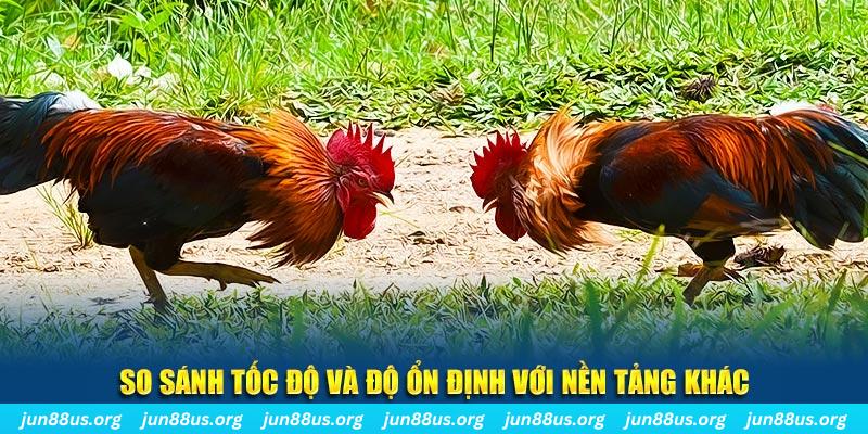 xo88 club đá gà hôm nay