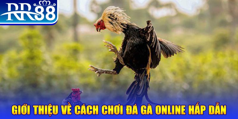 xo88 club game nổ hũ rút tiền mặt là gì