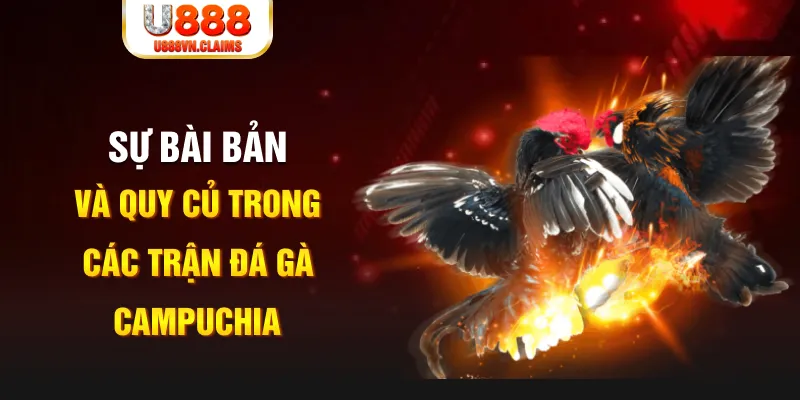 xo88 club YGR Điện Tử