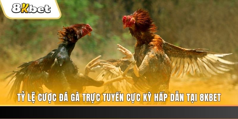 xo88 club xổ số trực tiếp miền bắc