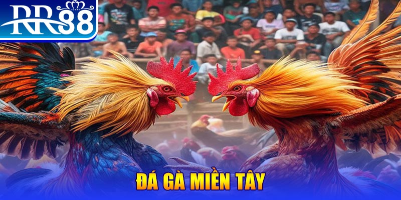xo88 club chơi slot là gì
