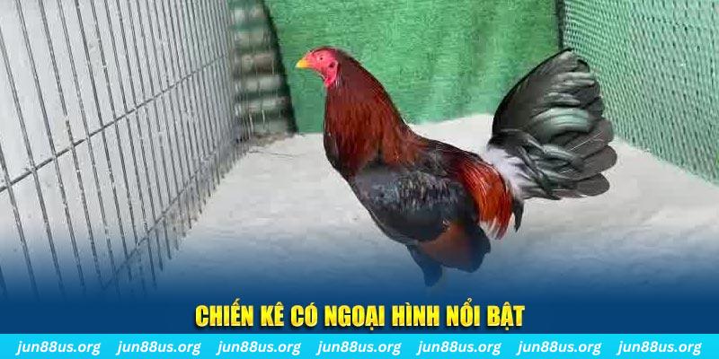 xo88 club chạy quảng cáo cho game bài bị phạt như thế nào
