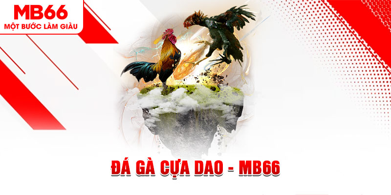 xo88 club đá gà sv388 gold